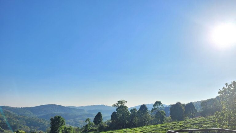 IMG-20250225-WA0055
